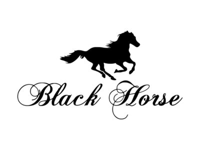 Black Horse Thumbnail